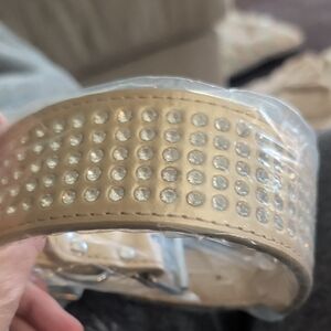 Studded Dog Collar with Rhinestones